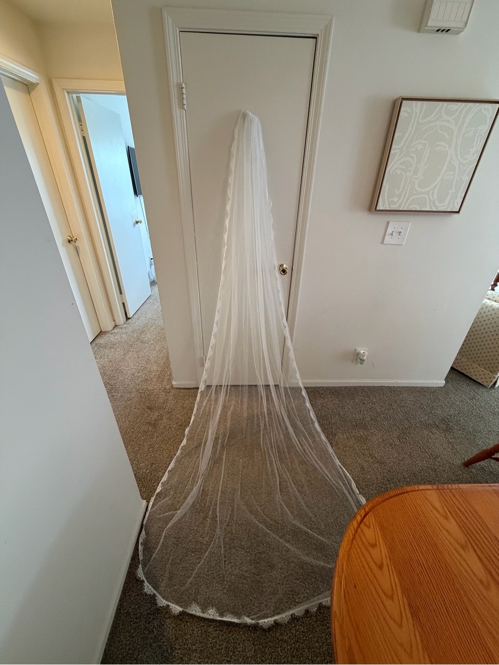 Daughters of Simone London Wedding Veil